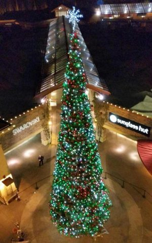 70 Foot Christmas Tree