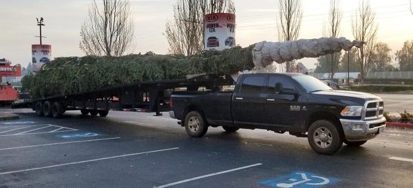 Giant Christmas tree on the road